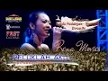 PELUKLAH AKU |  RENA MOVIES | NEW PALLAPA OFFICIAL | LIVE KONSER 2019i