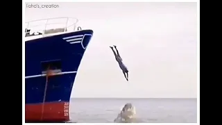 سبحان الله سمك القرش ياكل انسان 