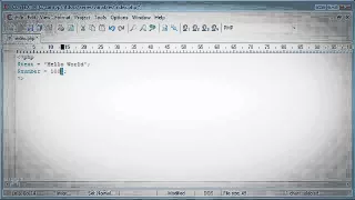 Beginner PHP Tutorial 16 Variables
