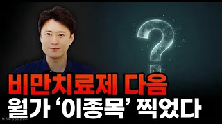 비만 치료제 다음으로 월스트리트 '이종목' 찍었다