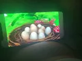10 Little Dinosaurs Little Baby Bum