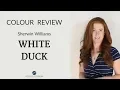 Colour Review Sherwin Williams White Duck SW 7010