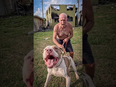 Este lugar está completamente DESTROZADO