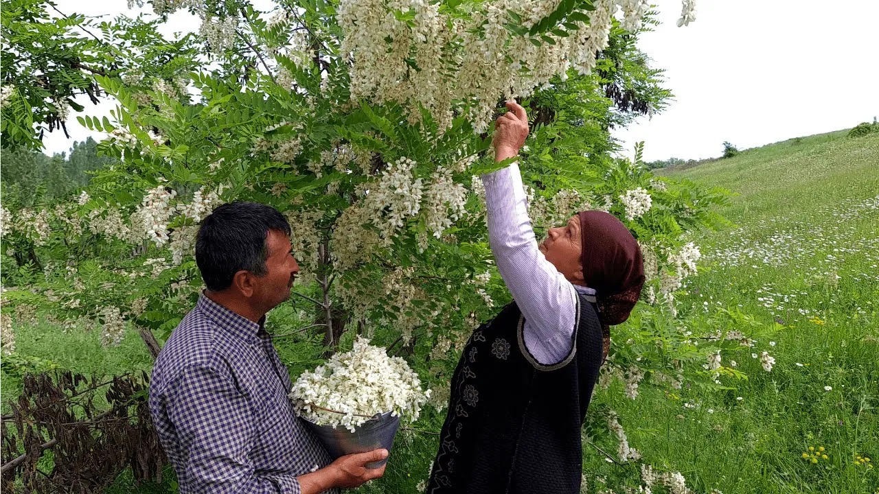 ٢٨ حيلة سريعة للمطبخ وأدوات للطهي