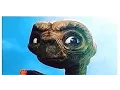 DANK MEMES Photo Collection 1
