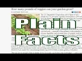 How Much Can You Grow in Your Vegetable Garden