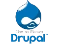 How to Update Drupal