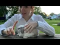 4H Rabbit Showmanship Demonstration