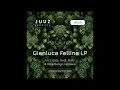 Download Lagu Gianluca Felline - Sonic Two (Ollie Ballyn Remix)