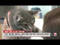 FWACC receives 50 000 grant from Petco Love
