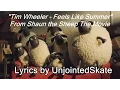Download Lagu Tim Wheeler - Feels Like Summer (LYRIC VIDEO) (From \