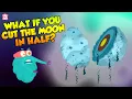 Download Lagu What If The Moon Split In Half? | Moonquake | The Dr Binocs Show | Peekaboo Kidz
