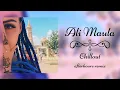 Lagu Ali Maula - Chillout Remix | Kurbaan | Saif Ali Khan \u0026 Kareena Kapoor | Salim Merchant