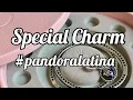 Very Special Pandora Charm Meaning Explanation