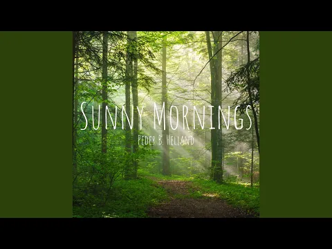 Download MP3 Early in the Morning