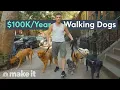 I Make 100K Walking Your Dog In NYC On The Job