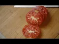 BACONLETTUCETOMATOAUTONOMOUSSENSORYMERIDIANRESPONSE