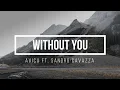 Download Lagu Without You - Avicii ft. Sandro Cavazza (Music Lyrics Video + Terjemahan)