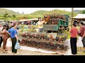 Download Lagu Harvest 1000+ Chickens, Use Truck To Transport Many Chickens Go To Market Sell - Farm Life
