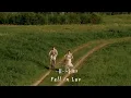 What falling in love feels like | Playlist |