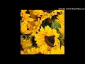 Pink Pantheress - Noticed I Cried (432hz)