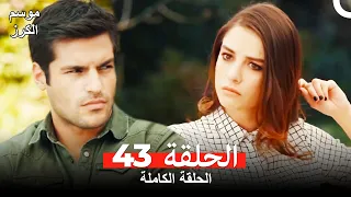 موسم الكرز الحلقة 43 دوبلاج عربي 