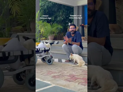 यह सिर्फ एक wheelchair नहीं,एक नई उम्मीद है #paralyseddog #vosah