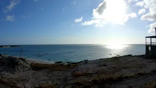 ARUBA Sea Coast