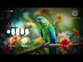 Download Lagu Message Ringtone | Notification Ringtone | SMS Ringtone | Mgs Ringtone | Message Tone #ringtone🎶
