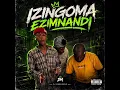 EZIMNANDI Official Audio Gqom 