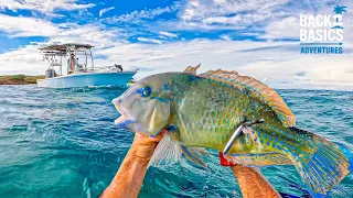 Eating What We Catch (Remote Island Hunting & Camping)