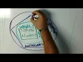 Asynchronous Math Number Systems
