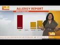 Oak pollen explodes leaving many to confuse allergies with colds