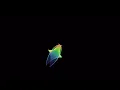 Butterfly Effect Simulation of two sets of 2500 double pendulums