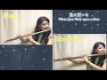 【フルート＆アルトフルート】 星に願いを / ２重奏 / 七夕 / When You Wish Upon a Star / 演奏してみた