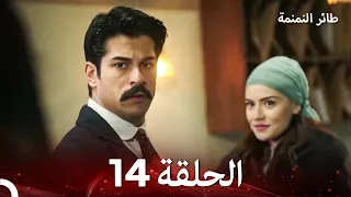 طائر النمنمة الحلقة الأخيرة 14 (Arabic Dubbed) FULL HD