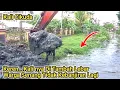 Lagu Mantap...warga Senang Tidak Kebanjiran Lagi,Kali nya Di Tambah Lebar || Normalisasi Kali