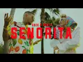 Download Lagu SNIK x Tamta - SENORITA (Official Music Video)