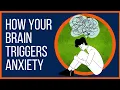 Download Lagu The Anxious Brain: Amygdala Versus Cortex Based Anxiety