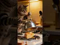 Download Lagu Exciting! 😱😱 The cat has set up a perfect trap, quietly waiting.#trap #shorts #funnyanimals