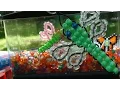 TurboBeads Bead Dragonfly Tutorial