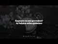 ziynet sali-deli divane (lyrics)