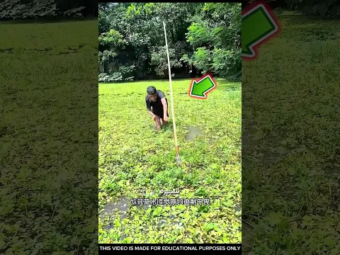 وجد الشجيره تتحرك وحدها 😧