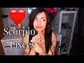 Scorpio Pisces Relationship Secrets NICHE observations