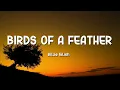 Download Lagu Billie Eilish - BIRDS OF A FEATHER (Lyrics)