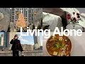 Lagu Living Alone Diaries: Loneliness During the Holidays