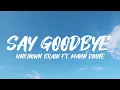 Download Lagu Unknown Brain - Say Goodbye Ft. Mavin Divine (Lyrics)