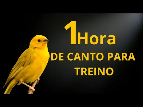 Download MP3 Canário da Terra Cantando Canto Para TREINO