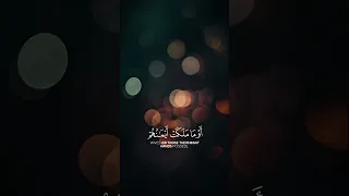 Surah Al Mu Minoon 23 1 2 ق د أ ف ل ح ال م ؤ م ن ون ال ذ ين ه م ف ي ص لات ه م خاشعون  Surah Al Mu Minoon 23 1 2 ق د أ ف ل ح ال م ؤ م ن ون ال ذ ين ه م ف ي ص لات ه م خاشعون