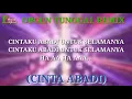 Download Lagu ORGEN TUNGGAL REMIX   CINTA ABADI FULL LIRIK